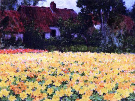 Yellow Nasturtiums by George Hitchcock - Hand-Painted Oil Painting on Canvas Supply