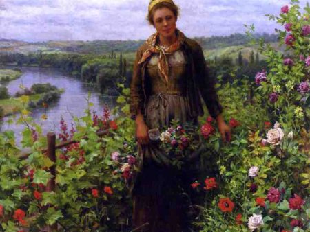 A Maid in Her Garden by Daniel Ridgway Knight - Hand-Painted Oil Painting on Canvas on Sale