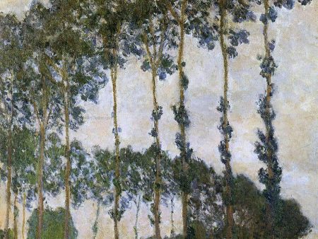 Poplars near Giverny, by Claude Oscar Monet - Hand-Painted Oil Painting on Canvas Online now