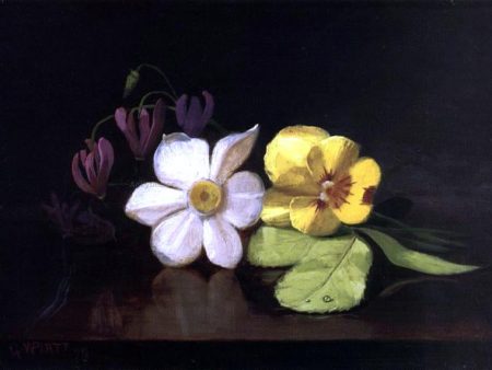 Still Life: A Handful of Flowers by George W Platt - Hand-Painted Oil Painting on Canvas Online