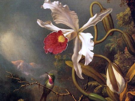 An Amethyst Hummingbird with a White Orchid by Martin Johnson Heade - Hand-Painted Oil Painting on Canvas Cheap