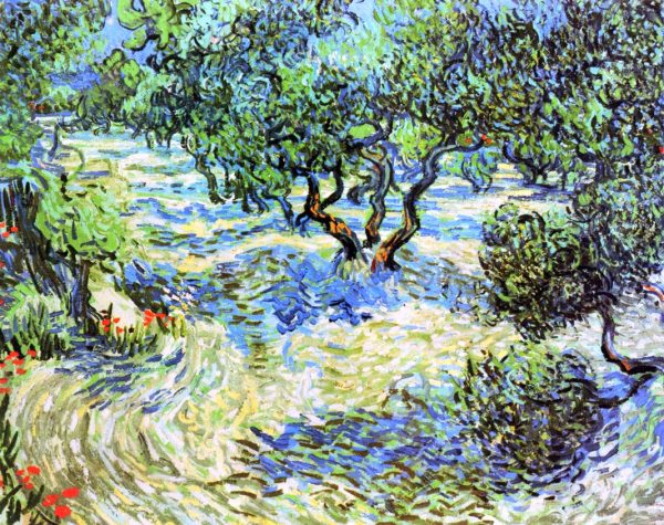 Olive Grove: Bright Blue Sky by Vincent Van Gogh - Hand-Painted Oil Painting on Canvas Supply