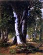 Woodland Path by Richard Lorenz - Hand-Painted Oil Painting on Canvas Supply