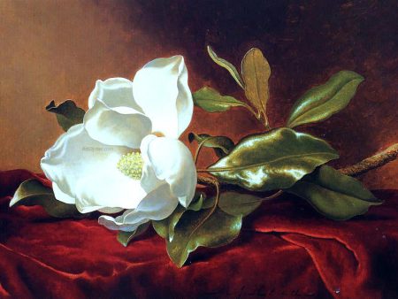 A Magnolia on Red Velvet by Martin Johnson Heade - Hand-Painted Oil Painting on Canvas Hot on Sale