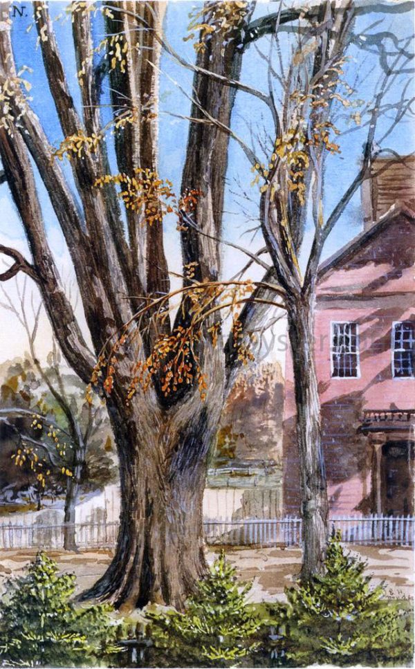 Elm, East Hartford, Connecticut by Charles De Wolf Brownell - Hand-Painted Oil Painting on Canvas Fashion