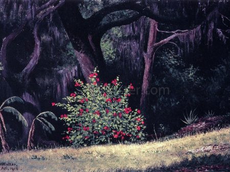 Woodland Scene with Red-Flowered Bush by William Aiken Walker - Hand-Painted Oil Painting on Canvas Online