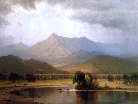 A Passing Storm in the Adirondacks by Sanford Robinson Gifford - Hand-Painted Oil Painting on Canvas Online now