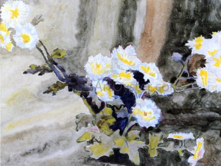 Floral Still Life (also known as Wild Daisies) by Charles Demuth - Hand-Painted Oil Painting on Canvas Cheap