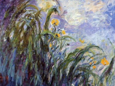 Yellow Irises by Claude Oscar Monet - Hand-Painted Oil Painting on Canvas For Discount