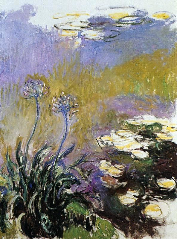 Agapanthus by Claude Oscar Monet - Hand-Painted Oil Painting on Canvas on Sale