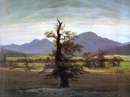 Landscape with Solitary Tree by Caspar David Friedrich - Hand-Painted Oil Painting on Canvas Supply