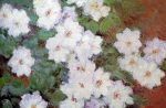 Clematis by Claude Oscar Monet - Hand-Painted Oil Painting on Canvas For Cheap