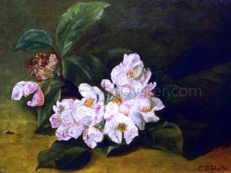 Apple Blossoms on a Ledge by Charles Ethan Porter - Hand-Painted Oil Painting on Canvas For Cheap