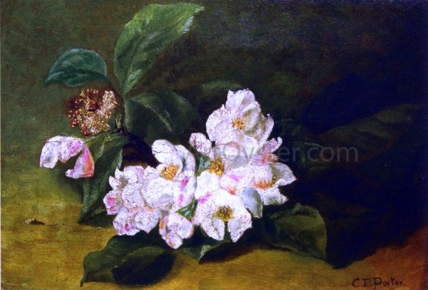 Apple Blossoms on a Ledge by Charles Ethan Porter - Hand-Painted Oil Painting on Canvas For Cheap