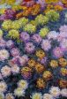 Bed of Chrysanthemums by Claude Oscar Monet - Hand-Painted Oil Painting on Canvas Hot on Sale