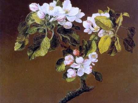 Spray of Apple Blossoms by Martin Johnson Heade - Hand-Painted Oil Painting on Canvas Hot on Sale