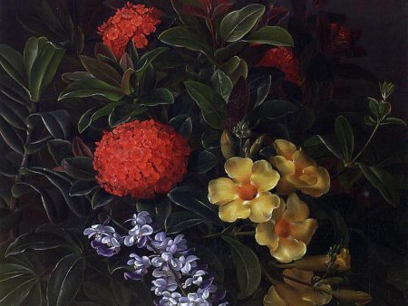 Allemanda, Ixora and Orchids by Johan Laurentz Jensen - Hand-Painted Oil Painting on Canvas Online Sale