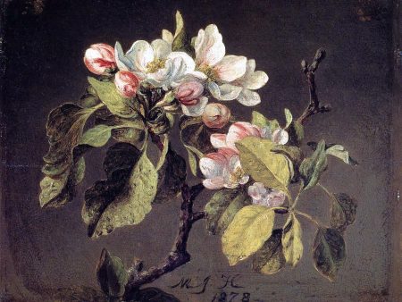 A Branch of Apple Blossoms and Buds by Martin Johnson Heade - Hand-Painted Oil Painting on Canvas Hot on Sale