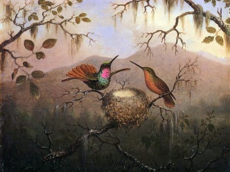 Two Hummingbirds at a Nest by Martin Johnson Heade - Hand-Painted Oil Painting on Canvas For Sale