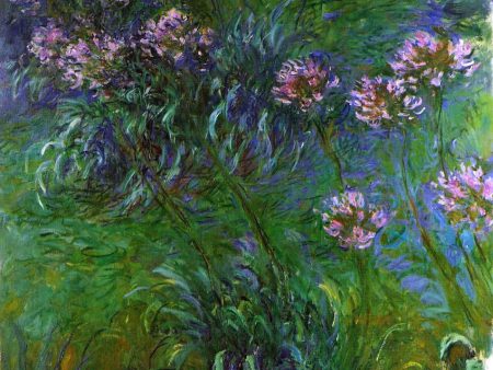 Agapanathus by Claude Oscar Monet - Hand-Painted Oil Painting on Canvas For Discount