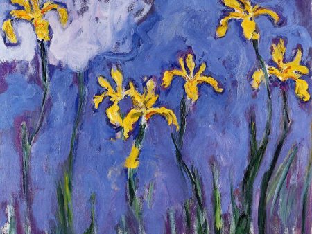 Yellow Irises with Pink Cloud by Claude Oscar Monet - Hand-Painted Oil Painting on Canvas For Cheap