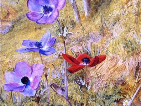 Anemones by Henry Roderick Newman - Hand-Painted Oil Painting on Canvas Cheap