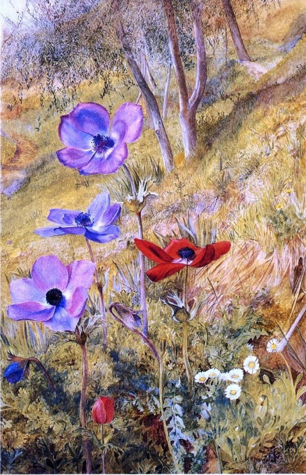 Anemones by Henry Roderick Newman - Hand-Painted Oil Painting on Canvas Cheap